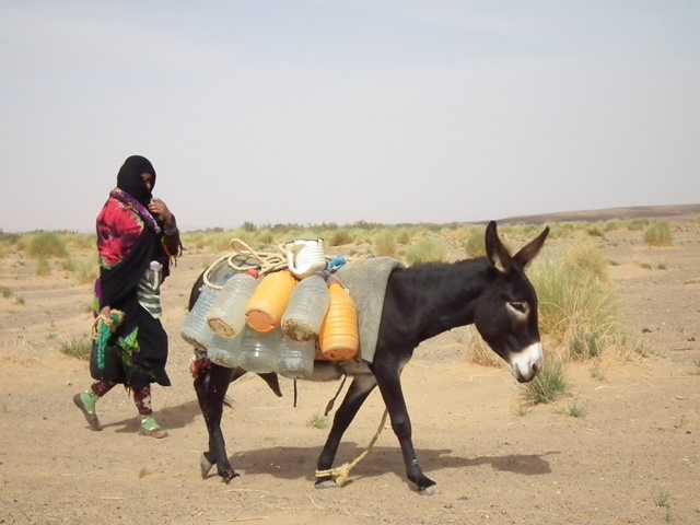 03.婦女每天牽著驢子，前往古井邊打水。.JPG