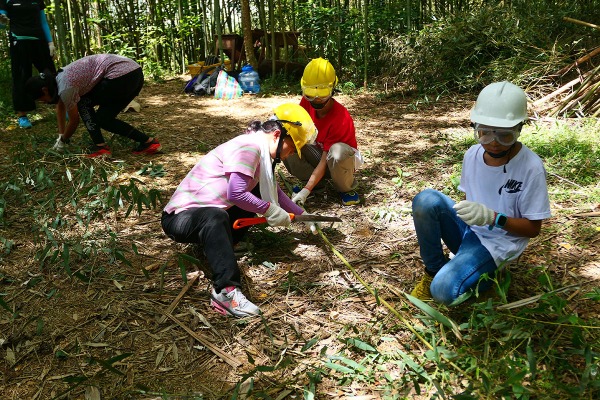 03參加自然谷工作假期的志工，為竹林疏伐作林地整理。（圖片提供｜自然谷）_resized.jpg