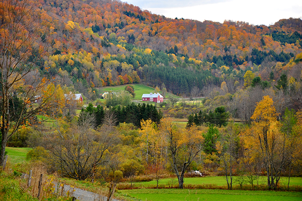 Vermont farm foliage.jpg