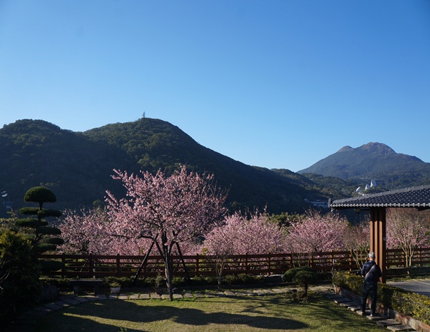 DSC09616