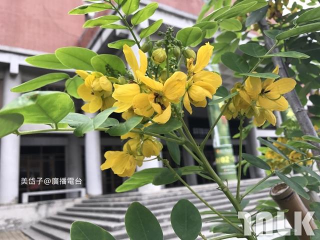 中山大學4.JPG