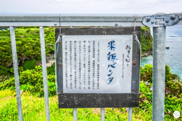 Okinawa7_8.jpg