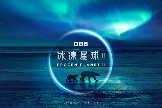 睽違11年全新力作！BBC-星球系列年度鉅獻《冰凍星球II》登台上線-1 (1).jpg