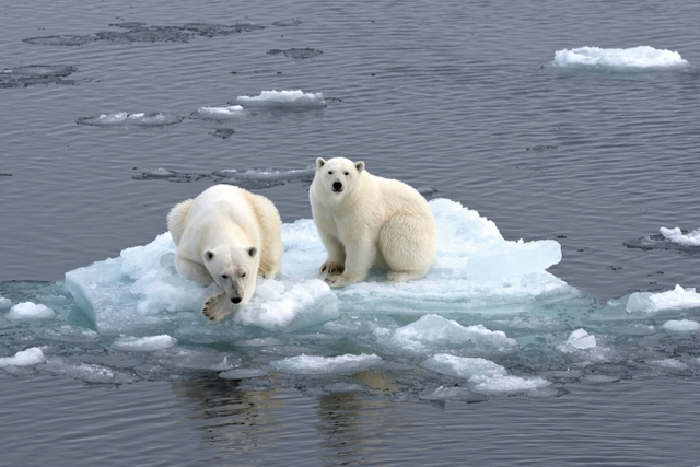地球暖化導致冰山溶解 (1)