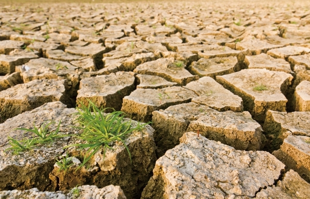 氣候變遷造成的長期乾旱或瞬間豪大雨 (1)