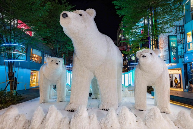 「北極熊」一家，散發療癒又溫馨的氣氛.jpg