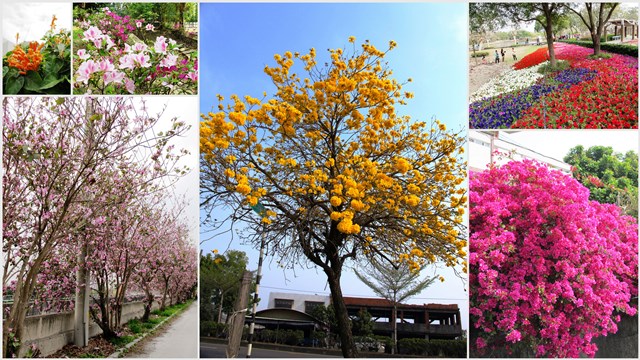 1-百花-e