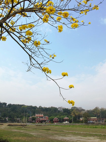 10-IMG_2192-001