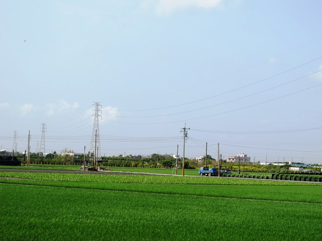 9IMG_2850