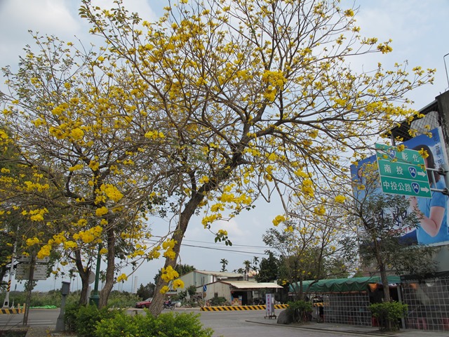 8-IMG_1953