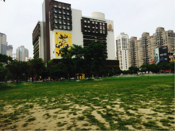 grass02