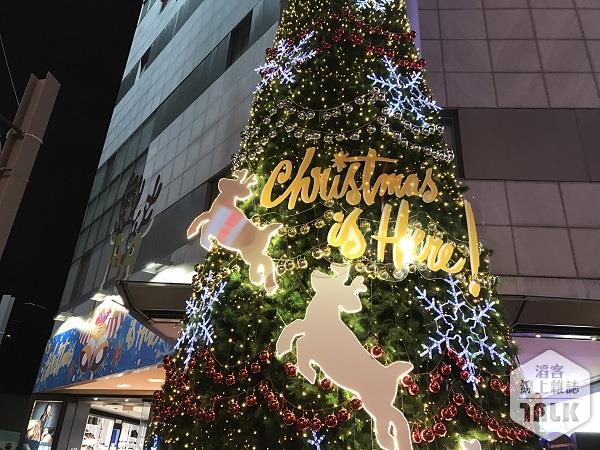 中山聖誕樹-1.JPG