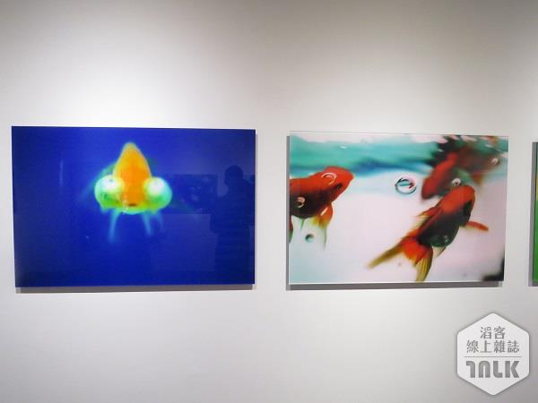 蜷川實花-FISH.jpg