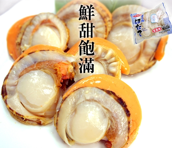 02帆立貝a.jpg