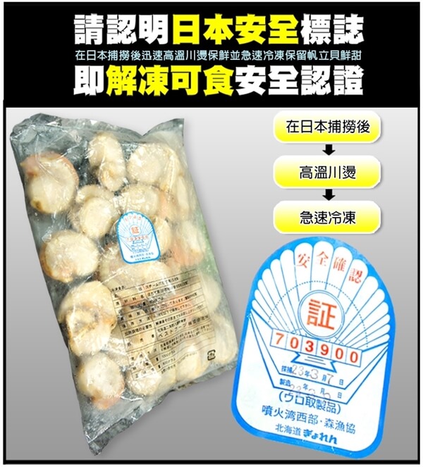 02帆立貝b.jpg