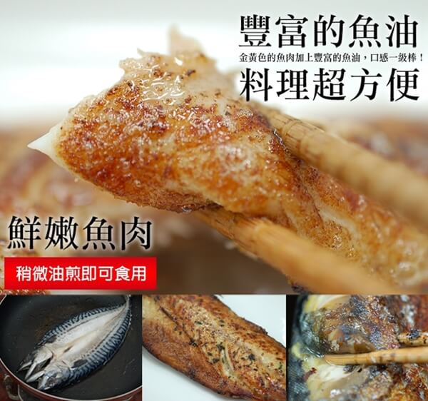 05鯖魚a.jpg