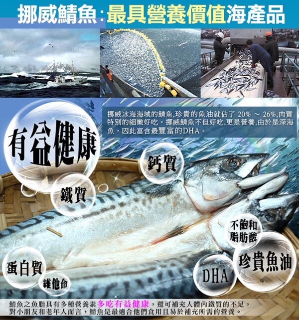 05鯖魚b.jpg