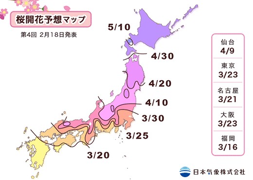 2014年櫻花預測