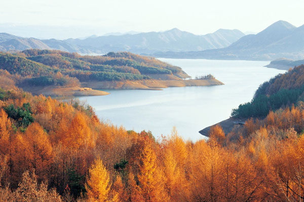 T-忠州湖-BZ55.jpg