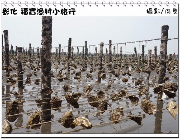 漁寶35_resized.jpg