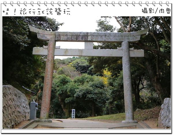 兔子7.jpg