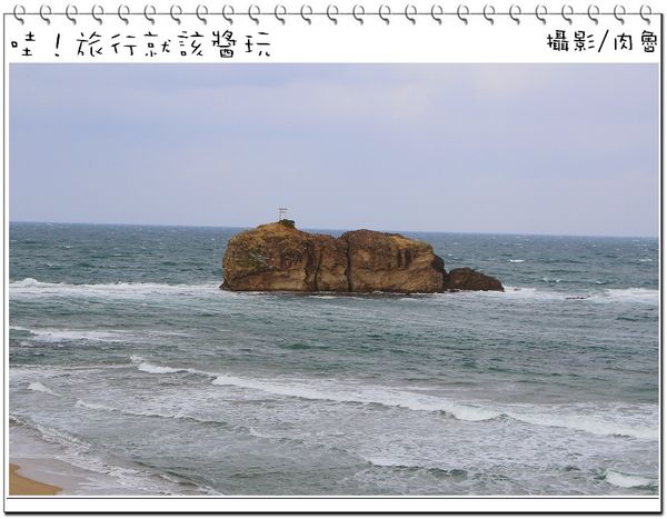 兔子23.jpg
