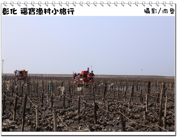 漁寶27_resized.jpg