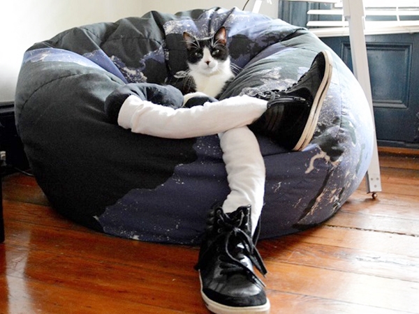 cats-in-tights-11.jpg