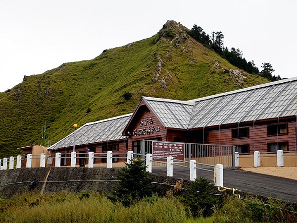 pic5.jpg