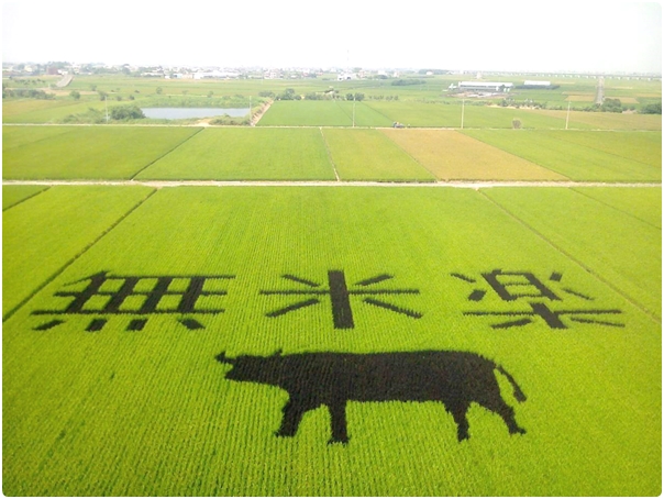 菁寮社區20.jpg