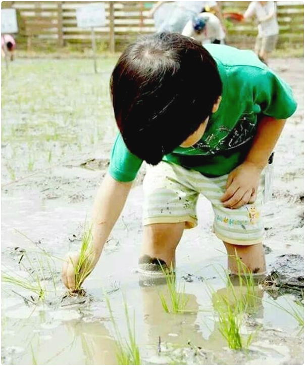 菁寮社區33.jpg