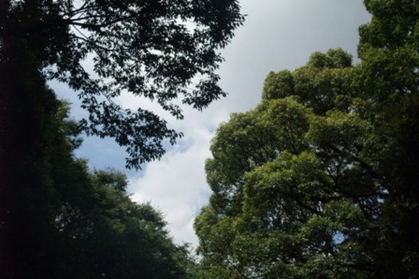 05.jpg