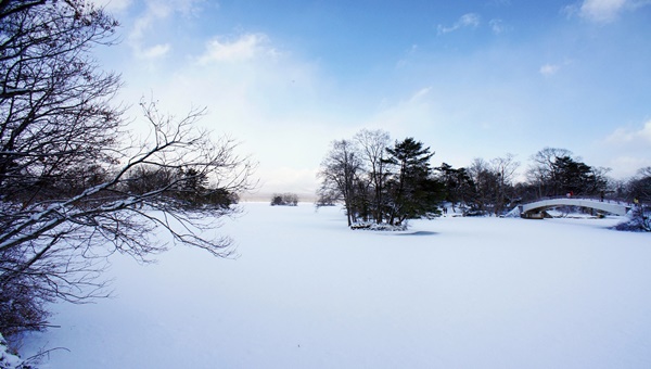 f北海道冬季-01.jpg