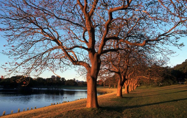 centennial-parklands-sydney2.jpg