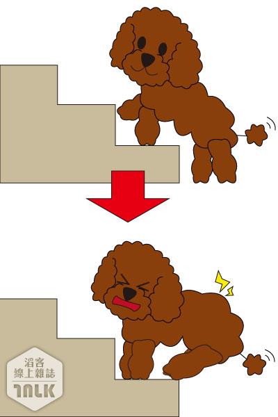 160206 dogs v.s stairs.jpg
