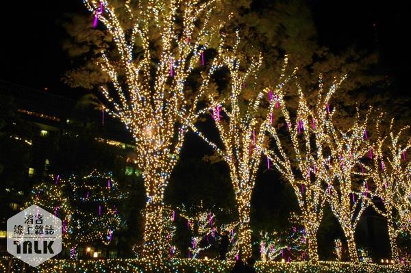 新宿公園燈飾