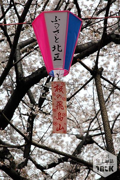 飛鳥山櫻花祭