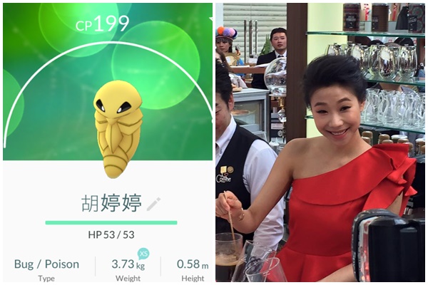 胡婷婷