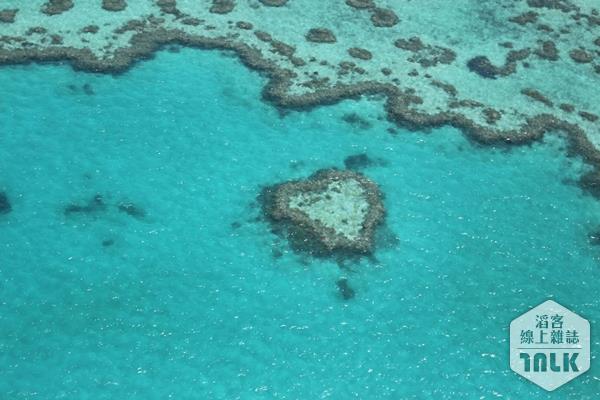 heart reef.JPG