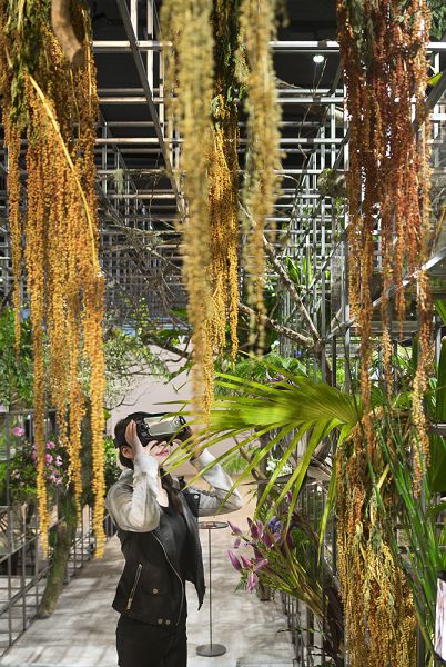 VISION LAB擁有全台灣首座以台灣植物生態與影像為呈現主題的野花店.jpg