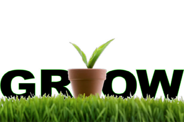 grow-up1